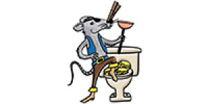 Dirty Treasures Sewer And Septic, Cleaning & Handyman Services